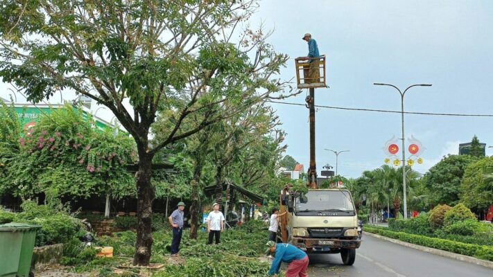 Dịch vụ cưa cây xanh Quận 4 - An toàn, chuyên nghiệp và tiết kiệm