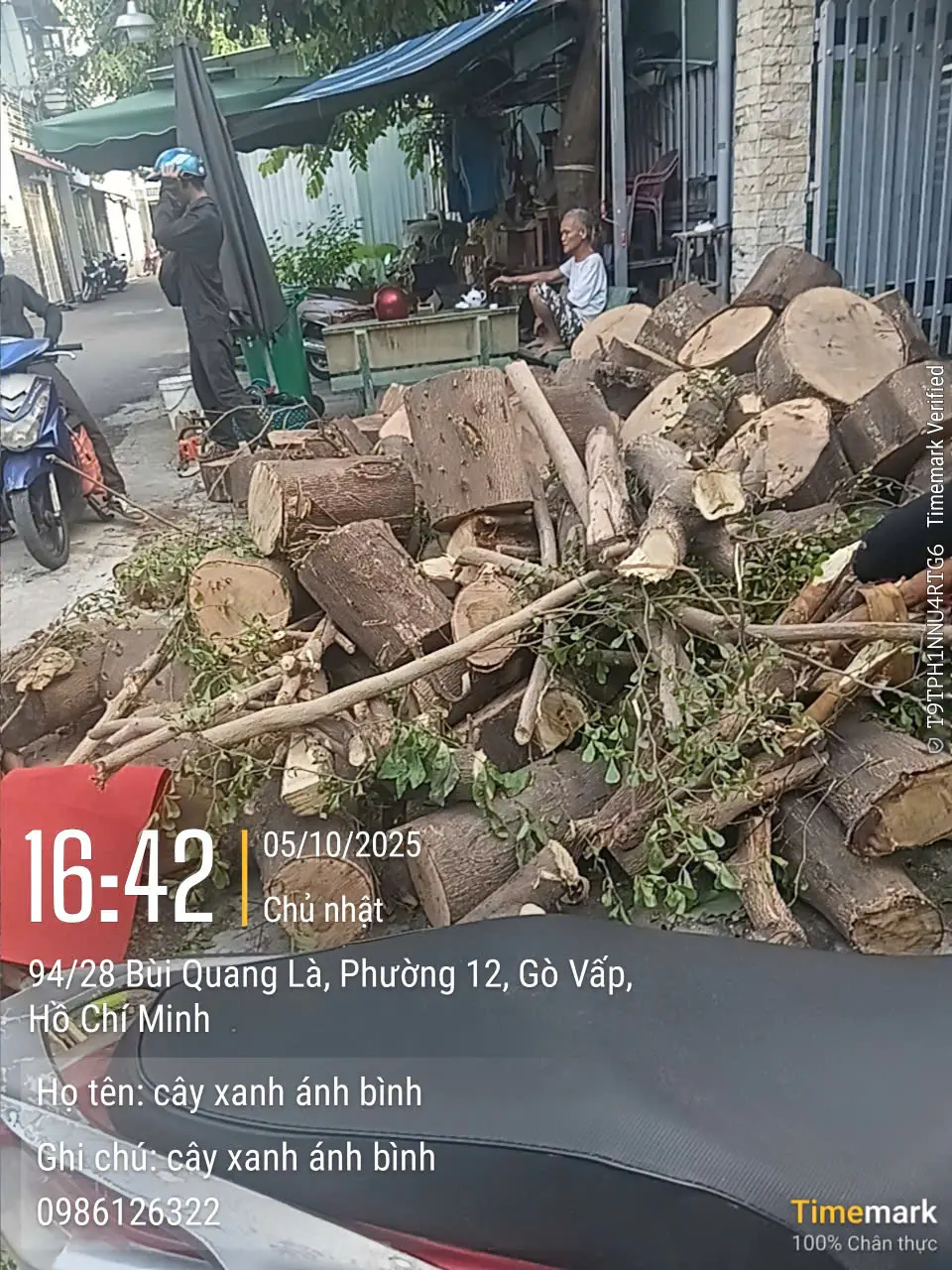 Dịch vụ chặt cây xanh 66 chặt cây xanh phường thạnh mỹ tây