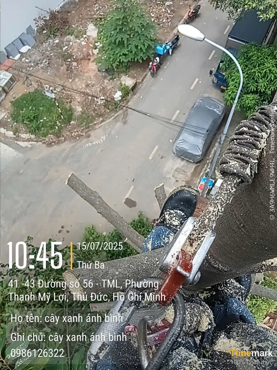 Dịch vụ chặt cây xanh 66 chặt cây xanh