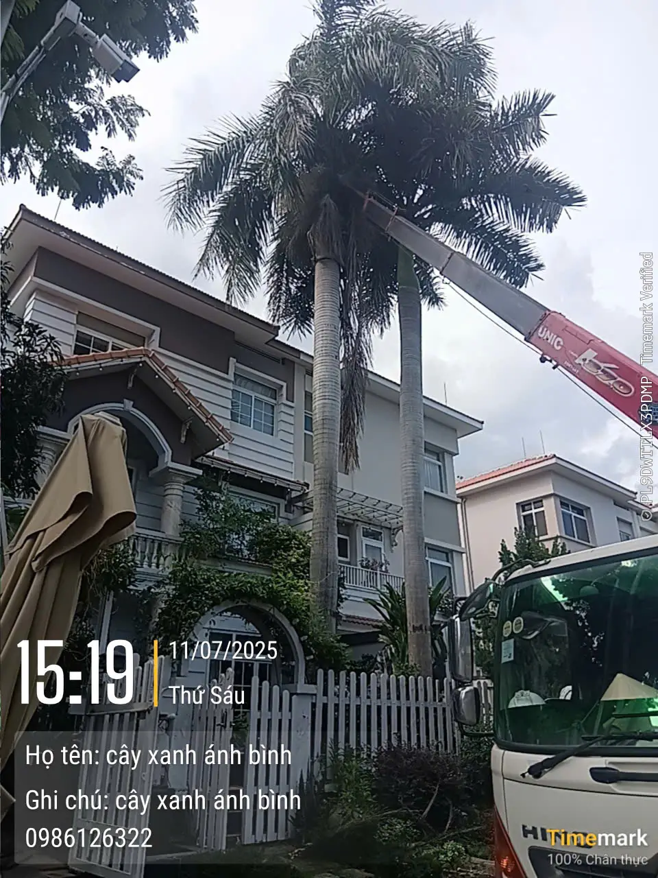 Dịch vụ chặt cây xanh 66 chặt cây xanh